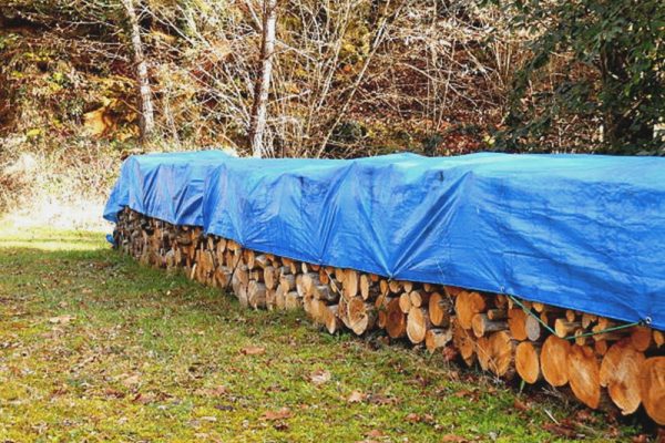 Covered pile of oak and sweet chestnut logs in a woodland clearing